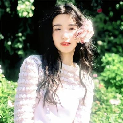 秩序的守护者
